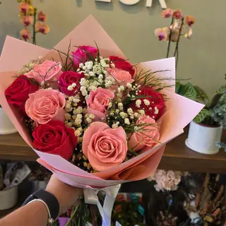 Doce rosas rosadas